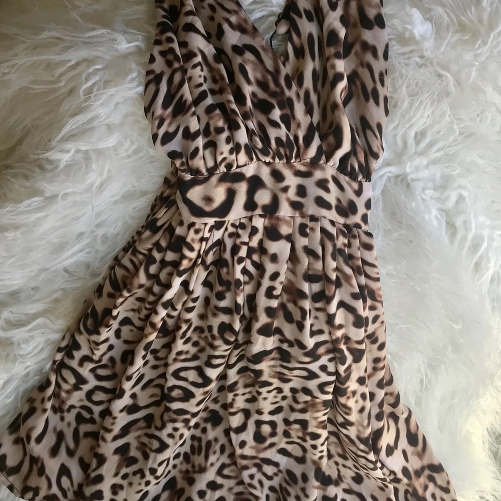 OLIVACEOUS size small S#44-53LD RN# 135773